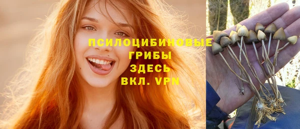 шишки Алзамай