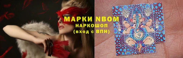 шишки Алзамай
