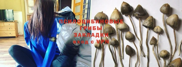 синтетический гашиш Алексеевка