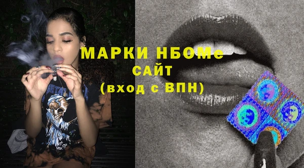 шишки Алзамай
