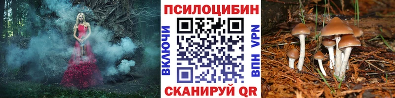 Галлюциногенные грибы Cubensis Багратионовск